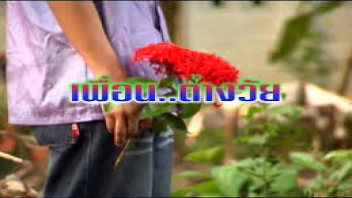 เย็ดเด็ด เย็ดหีไทย เย็ดมันส์ เย็ดทั้งเรื่อง เย็ดคาชุด